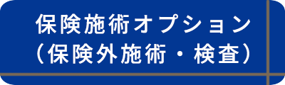 保険施術オプション（保険外施術・検査）